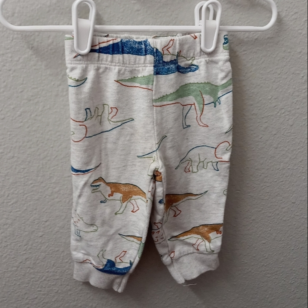 Dinosaur Print Baby Pants